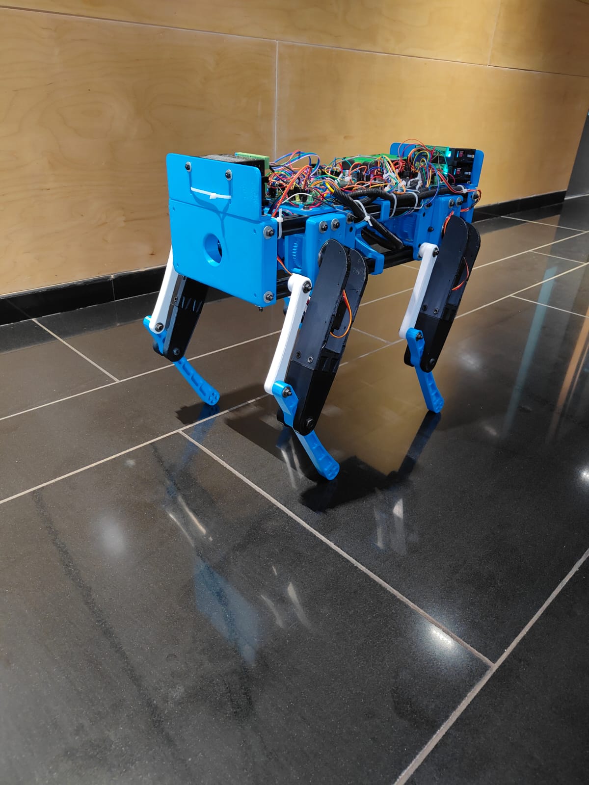 由步进电机和伺服电机制成的玩具机器狗3D数模图纸 Solidworks设计